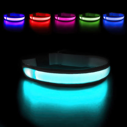 PawsNest™ LED Safety Dog Collar