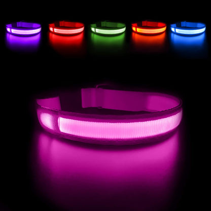 PawsNest™ LED Safety Dog Collar