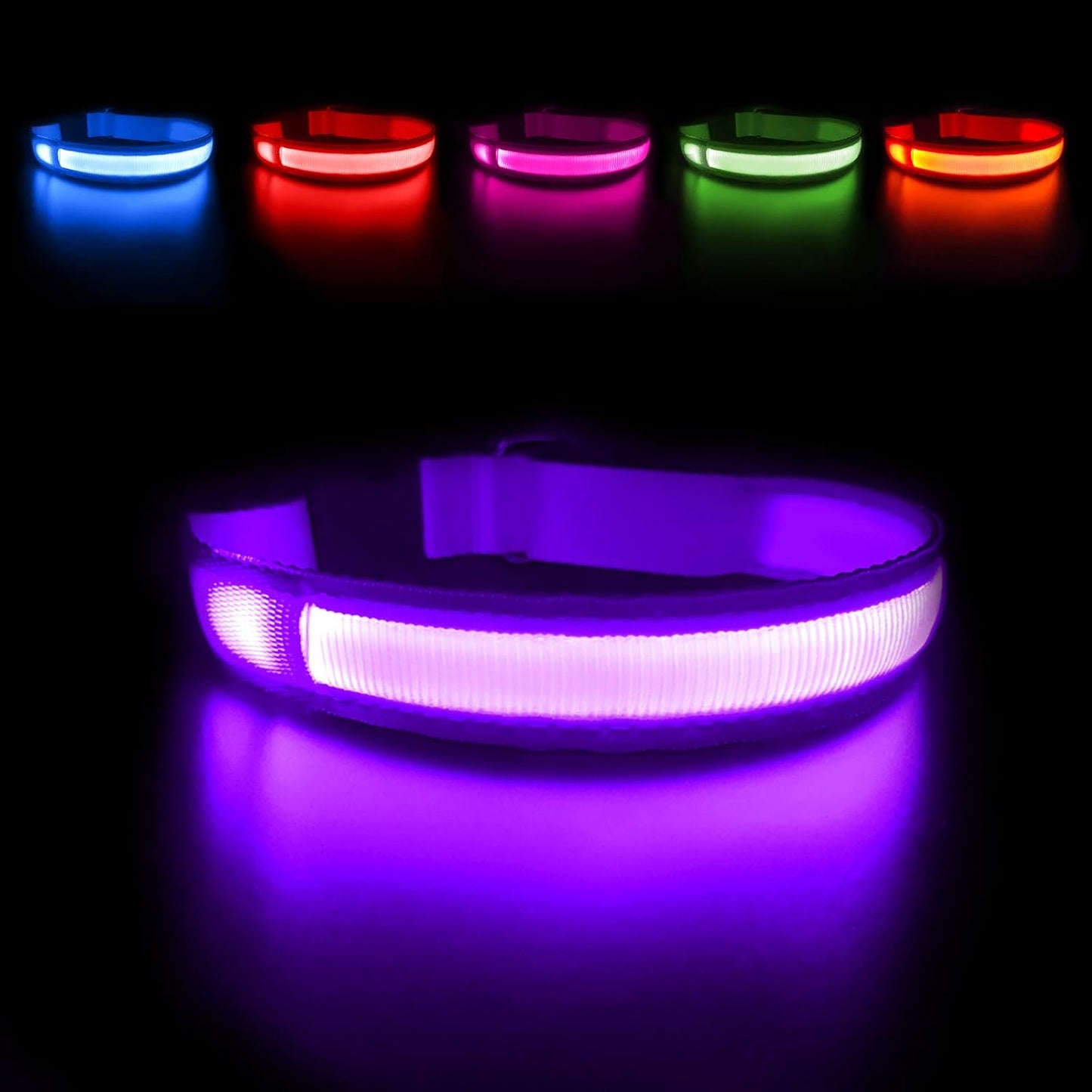PawsNest™ LED Safety Dog Collar