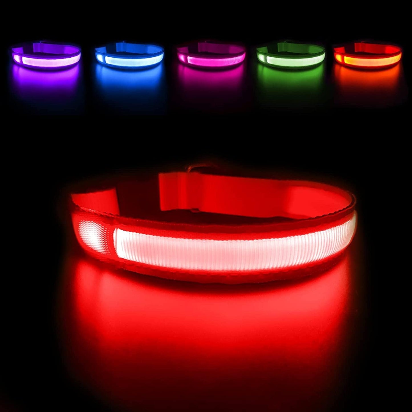 PawsNest™ LED Safety Dog Collar
