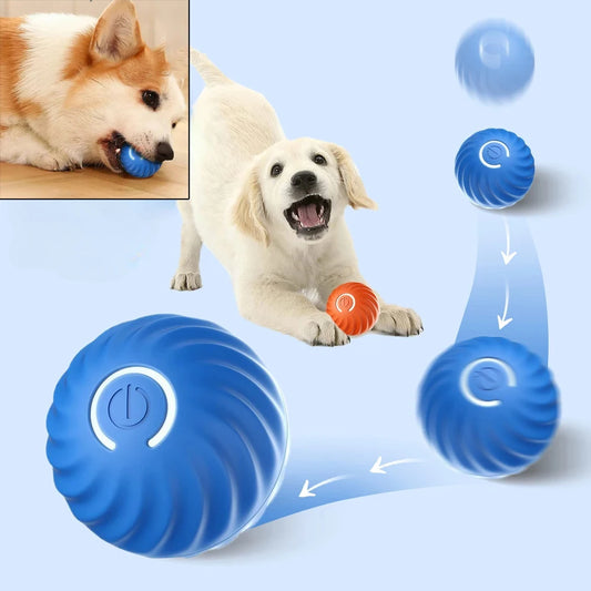Smart Rolling Dog Toy Ball